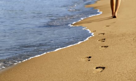 Taller: Los 11 pasos a la Felicidad