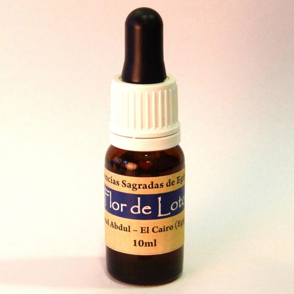 FLOR DE LOTO (7º CENTRO ENERGÉTICO - CORONARIO)