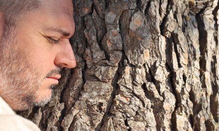 Meditación con el PINO – Trabaja la CULPA