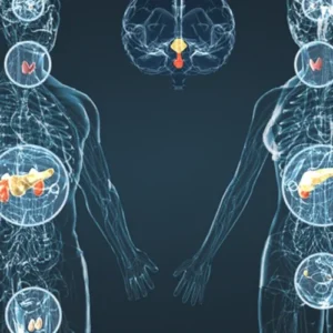Programa de trabajo energético sobre las glándulas 