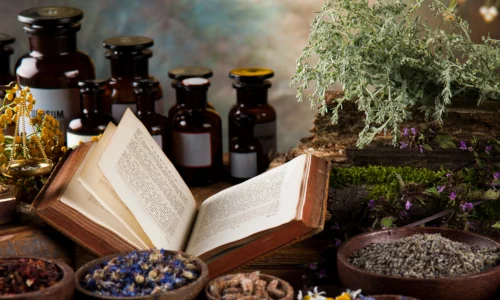 tinturas alquímicas, plantas y libro de conocimiento espagírico